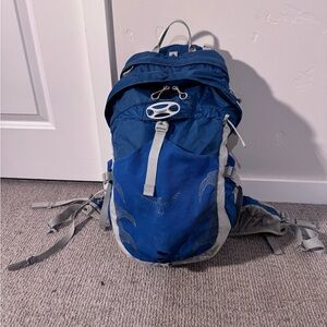 OSPREY Blue and Gray Backpack